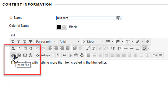 Figure 3: Blackboard Insert File icon