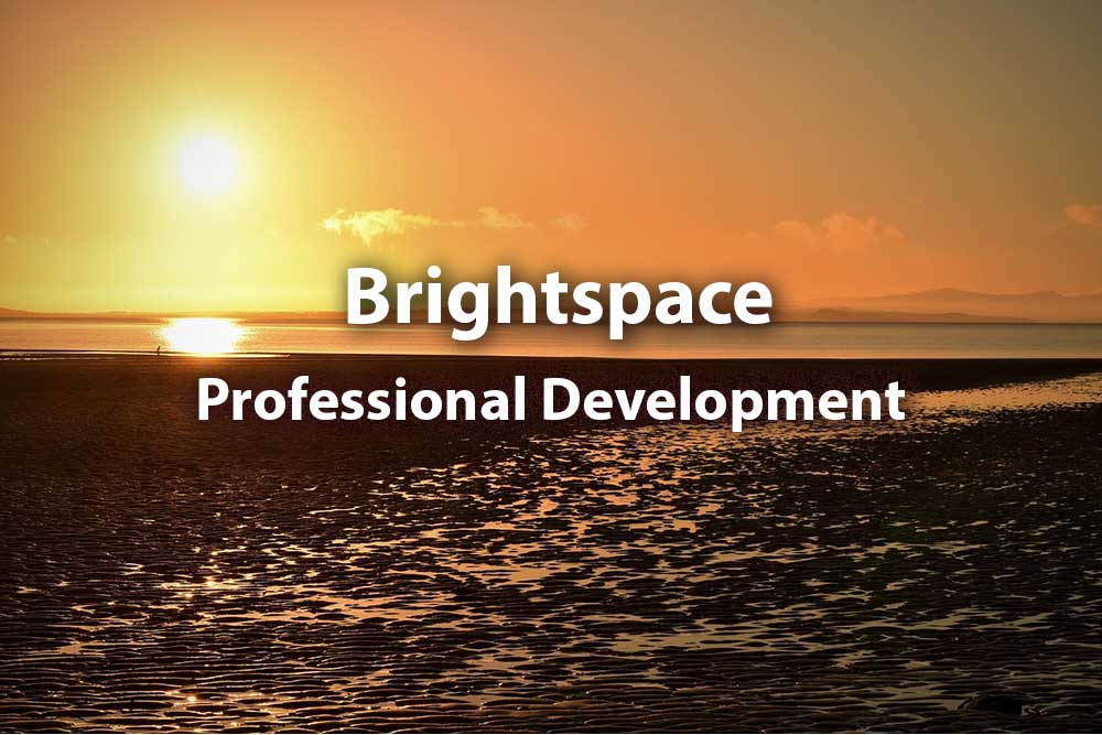Brightspace: Professional Development and Training Programme