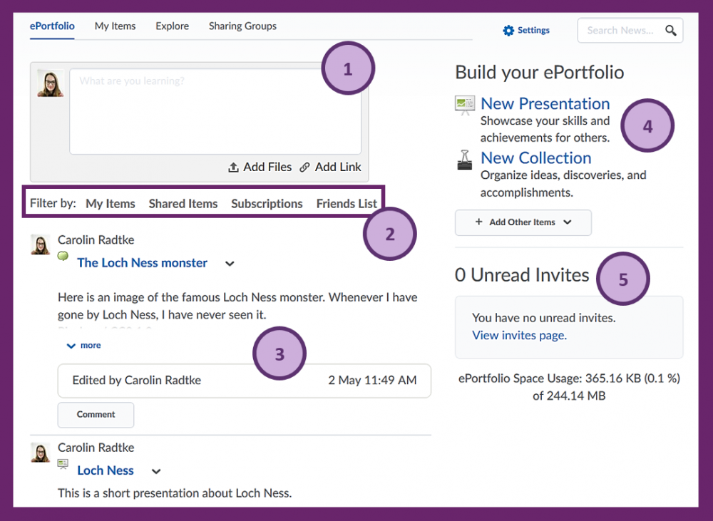Screenshot of the features of the ePortfolio tab