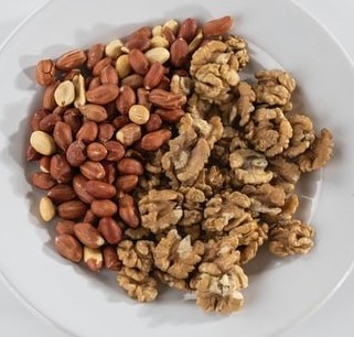 protein from nuts