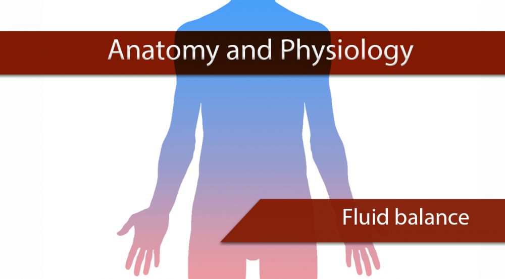 Cover-fluid-balance