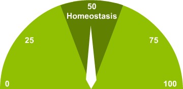 homeostasis