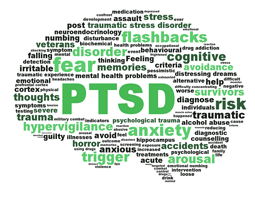 PTSD brain. Posttraumatic stress disorder symptoms.
