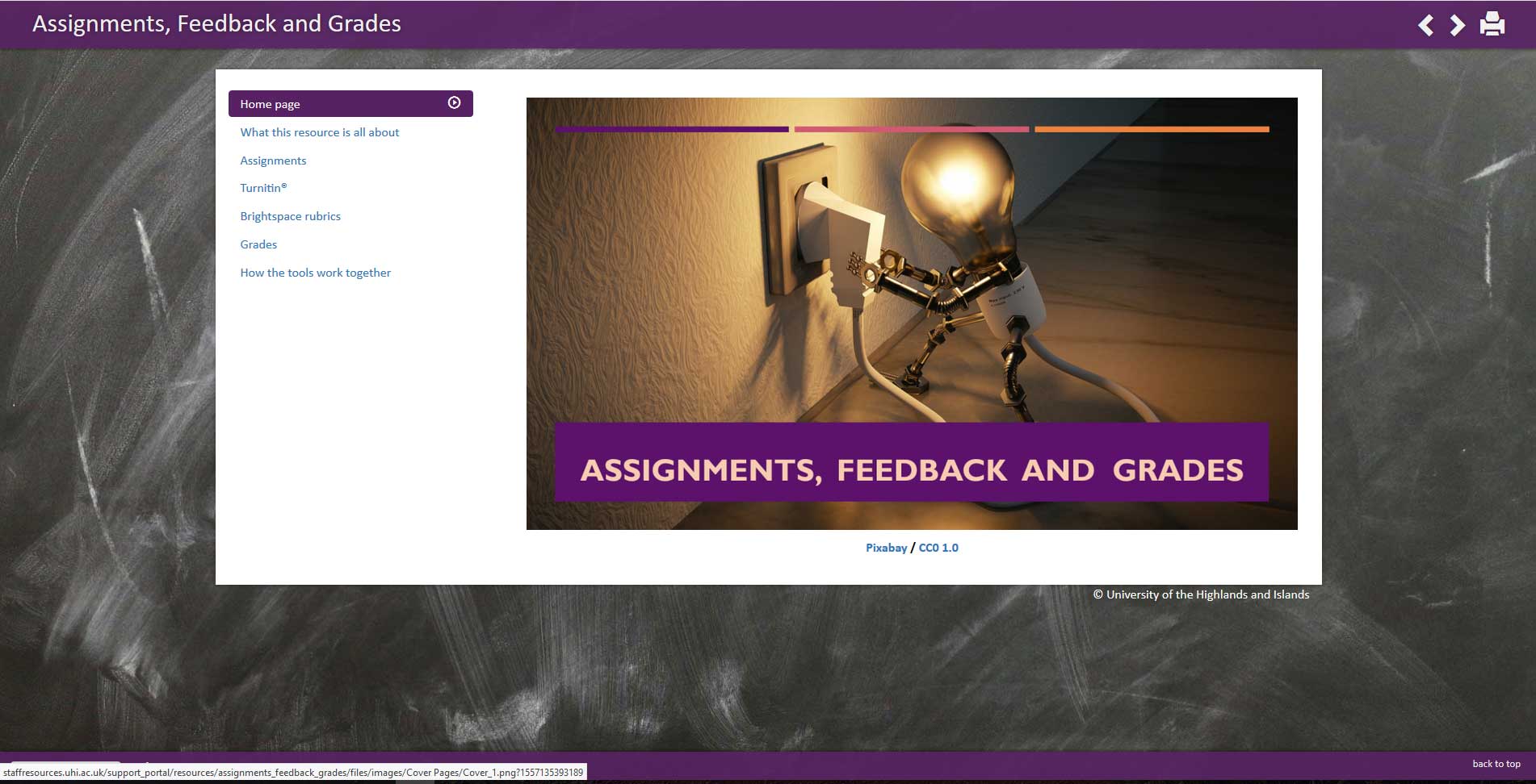 screenshot of the Assignments, Feedback and Grades resource