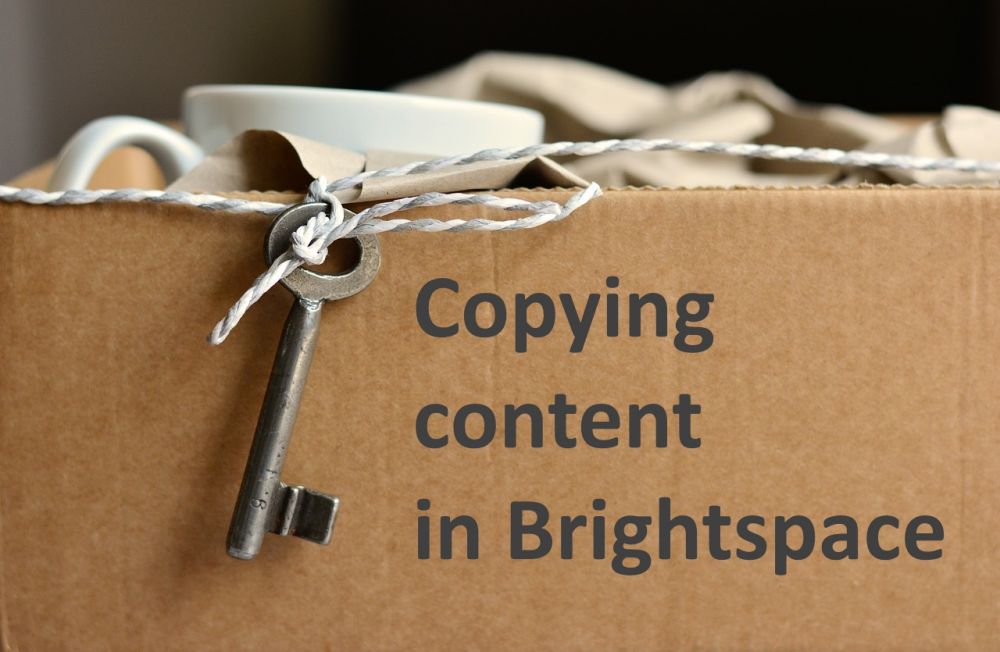 screenshot of the Brightspace resource