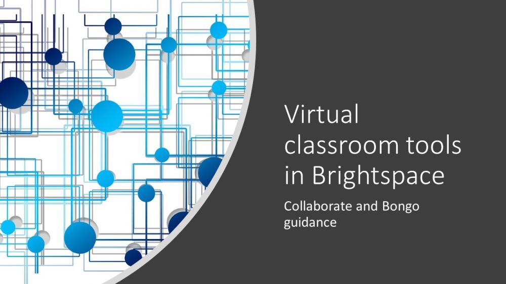 screenshot of the Brightspace resource