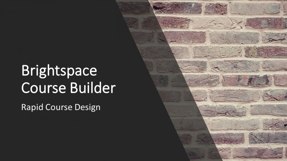screenshot of the Brightspace resource