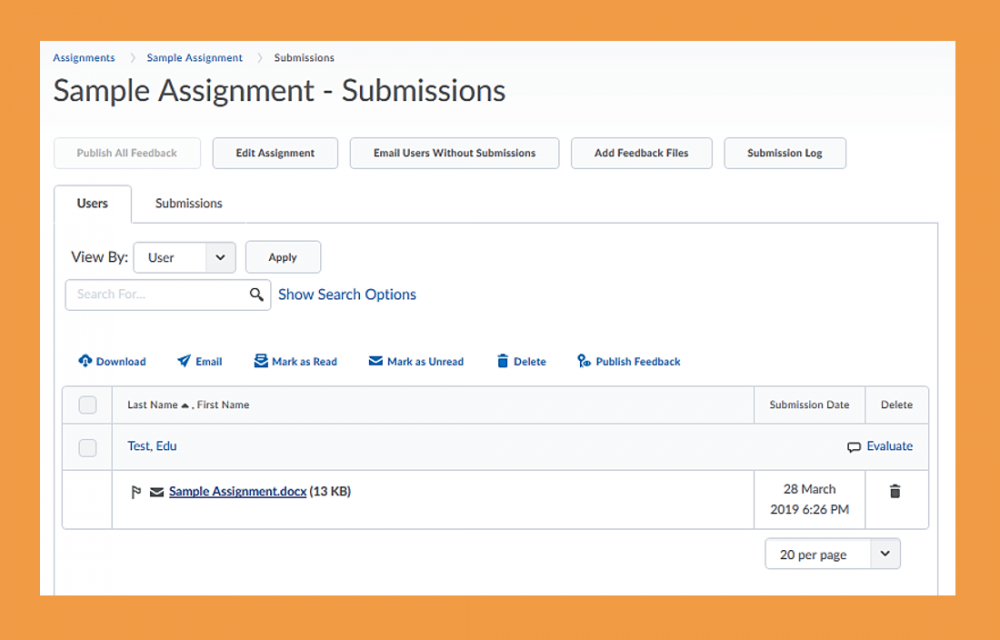  Screenshot of how submissions are displayed within an assignment folder
