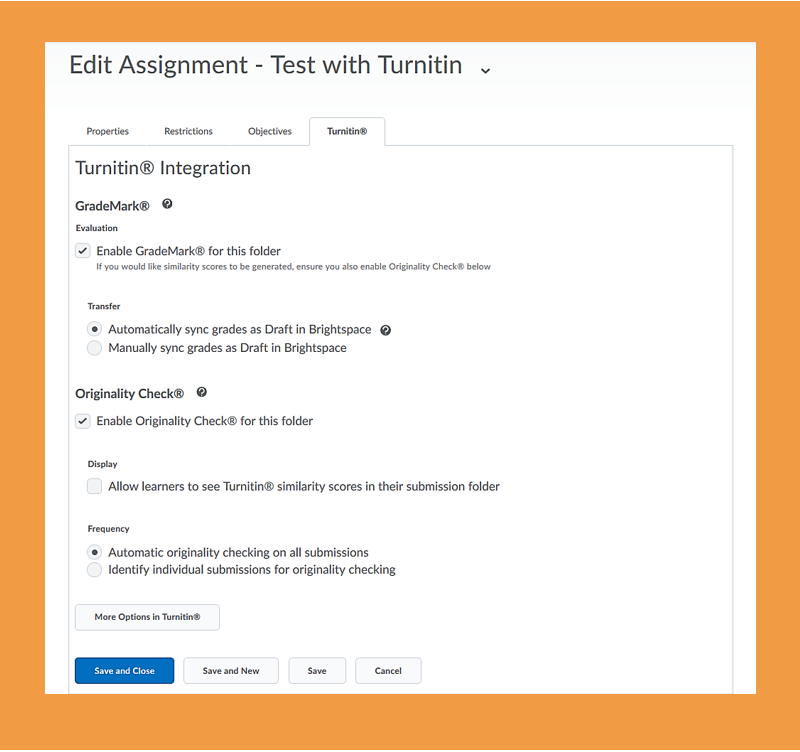 Screenshot of assignment set up area, specifically the Turnitin tab