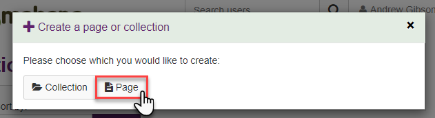 Selecting page or collection from the Create a page or collection options