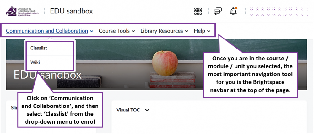 screenshot of the course/module/unit homepage