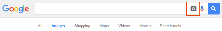 click on the camera icon in the search box