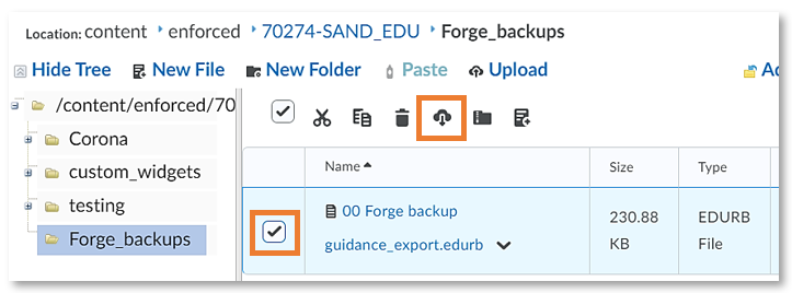 Forge backup file in the Manage Files area with the option to download it in case it needs to be edited