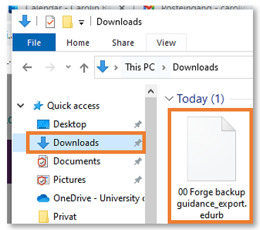 Computer Downloads folder with downloaded Project backup file