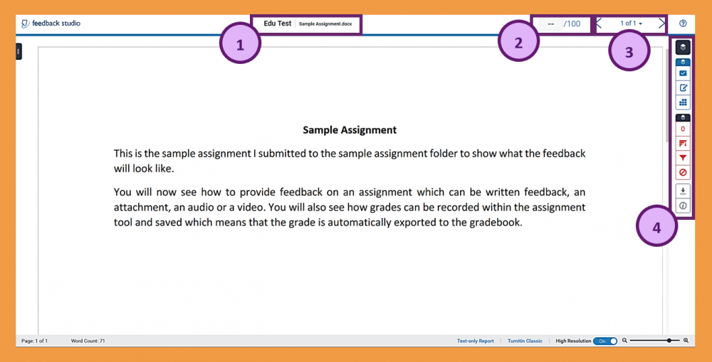 Screenshot of the information available in the Turnitin Feedback Studio