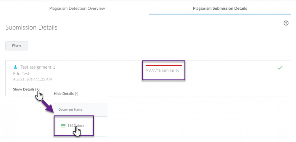 Assignment submission details showing overall similarity percentage